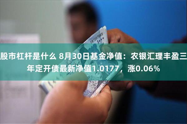 股市杠杆是什么 8月30日基金净值：农银汇理丰盈三年定开债最新净值1.0177，涨0.06%